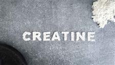 creatine energy backup