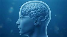 brain dehydration
