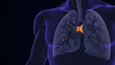 thymus health longevity cancer immune aging