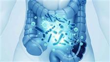 supplements gut butyrate
