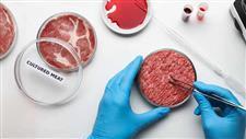 cell cultured meat regulations
