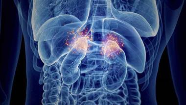 adrenal fatigue exhaustion