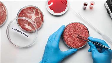 cell cultured meat regulations