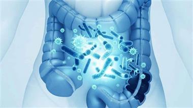 supplements gut butyrate
