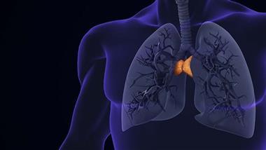 thymus health longevity cancer immune aging