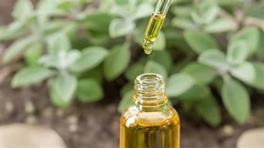 vicks plant essential oil compounds