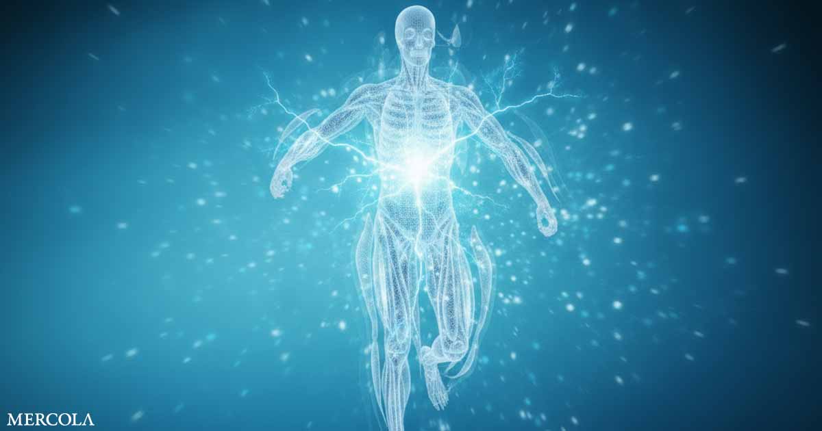 Molecular Hydrogen Emerges as a Promising Recovery Tool for Athletes Molecular Hydrogen Emerges as a Promising Recovery Tool for Athletes