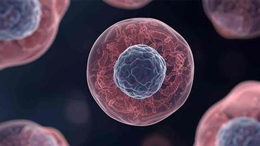 c150 pentadecanoic acid choline cancer risk