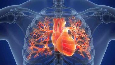cardiorespiratory fitness
