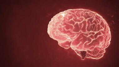 copper and brain health