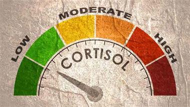 exercise cortisol stress biology