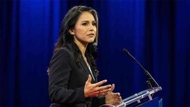 gabbard drops fauci covid 19 receipts