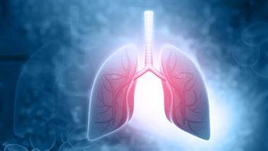 inhaled microplastics lung damage