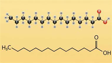 molecular cellular mechanism pentadecanoic acid c150 thumb