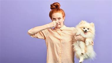 pet bad breath