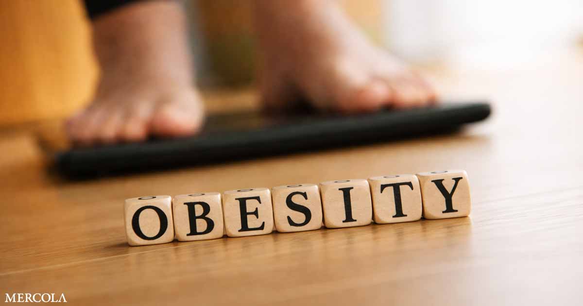 1 in 10 Deaths from Infectious Disease Are Caused by Obesity