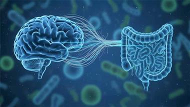 butyrate glp 1 gut brain health