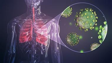 chronic inflammation blocks healing