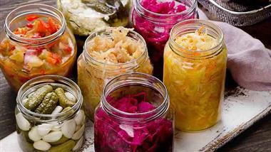 fermented foods gut health