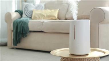 humidifier winter dry skin