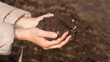 soil amendment after harvest