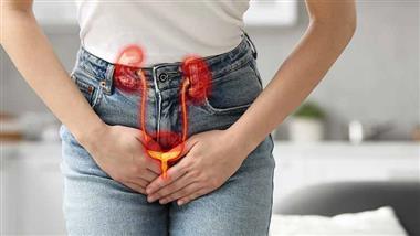 uti from food contaminated meat water cause
