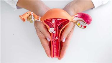 vitamin b6 ovarian function menopause