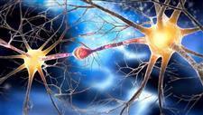 dietary geranylgeraniol diabetic neuropathy