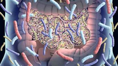 alzheimers butyrate