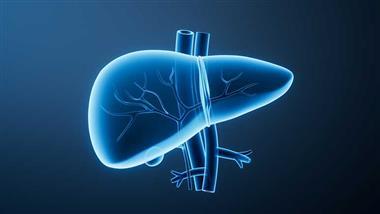 best herbs for liver health