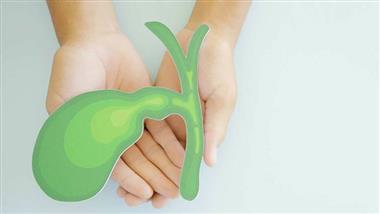 bile microplastics