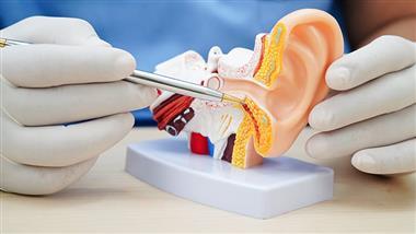 foods to lower tinnitus risk