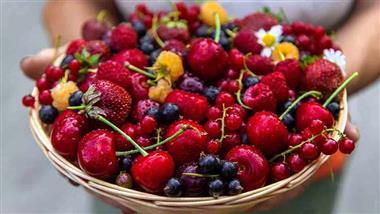 happy foods