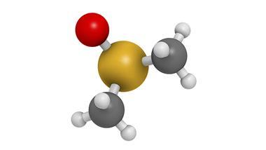 unlocking dmso