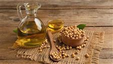 soybean oil obesity link