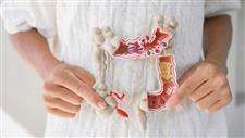 gut microbiome frailty
