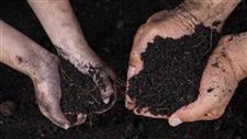 Scientists Identify Bacteria Linked to the Immune System Farm Effect