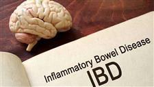 inflammatory bowel disease mental health
