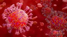 Pandemic Prevention Starts with Finding COVID-19�s Root Cause