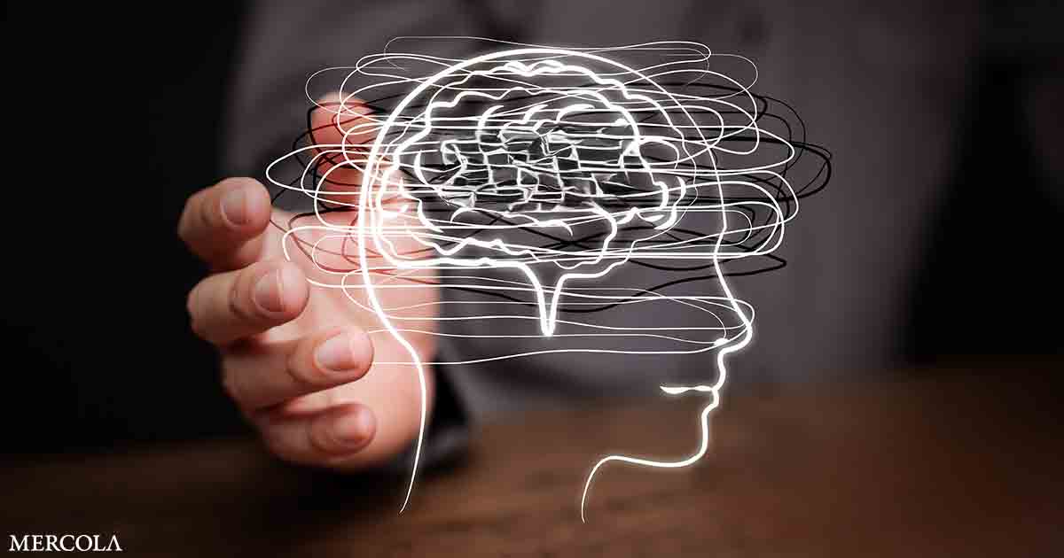Early-Life Stress Leaves a Lasting Mark on the Brain