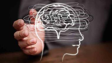 early life stress brain response