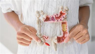 gut microbiome frailty
