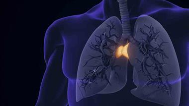 thymus thymulin aging inflammation