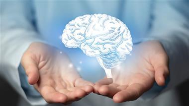 transplanted consciousness organ donor memory transfer
