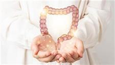 A Deep Dive Into Butyrate � Your Gut�s Powerhouse Molecule
