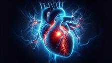 probiotics and heart health