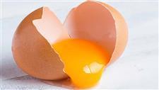 egg yolk compounds osteoporosis