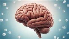 Artificial Sweeteners Tied to Faster Brain Aging and Decline