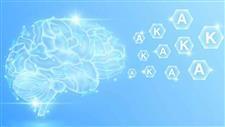 vitamins k and a brain health