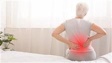 Relearning Basic Movements Eases Chronic Lower Back Pain